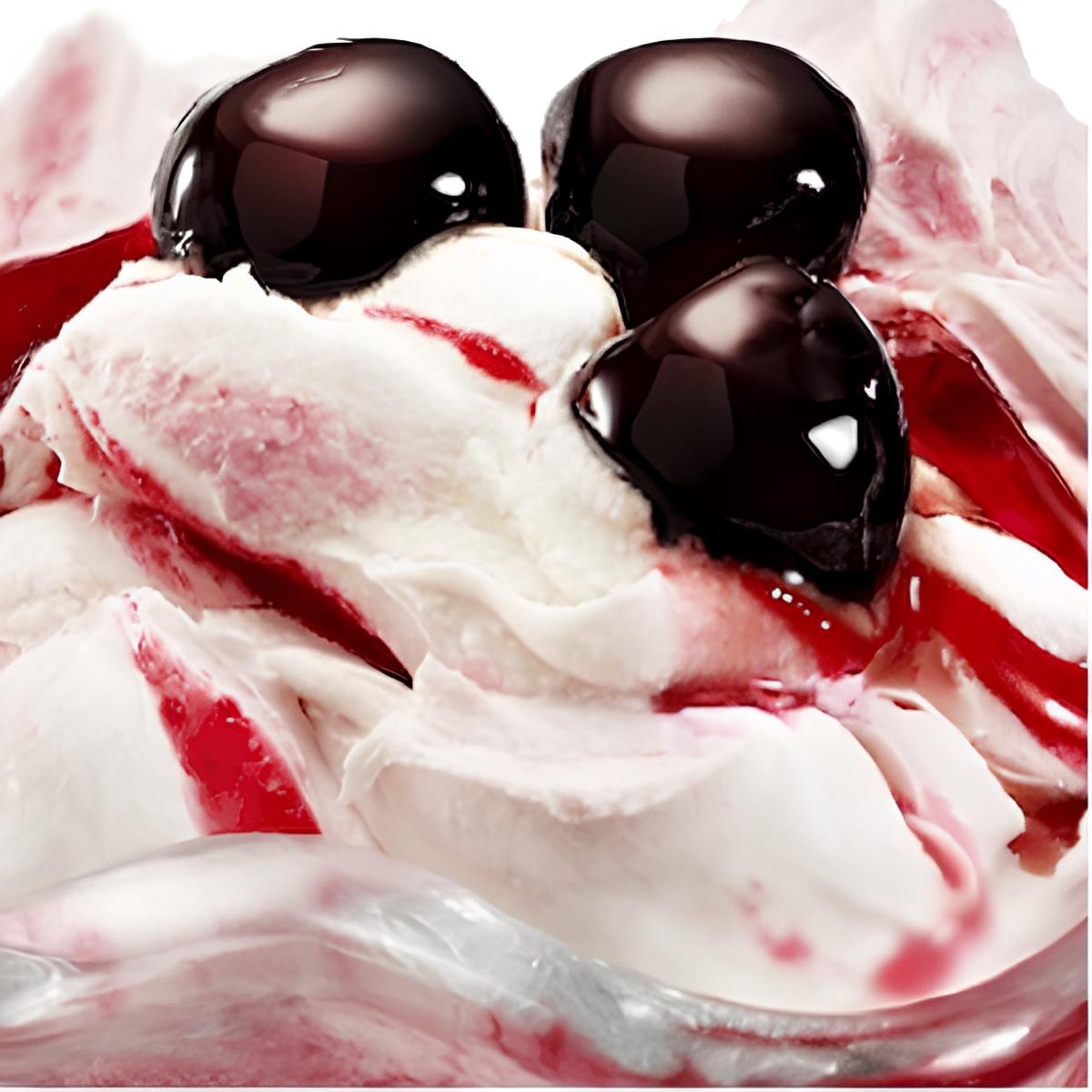 Fabbri Gourmet Sauce Amarena