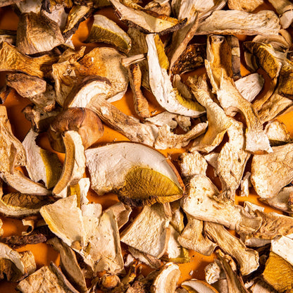 Antichi Sapori Umbri Dry Porcini Mushrooms 40g