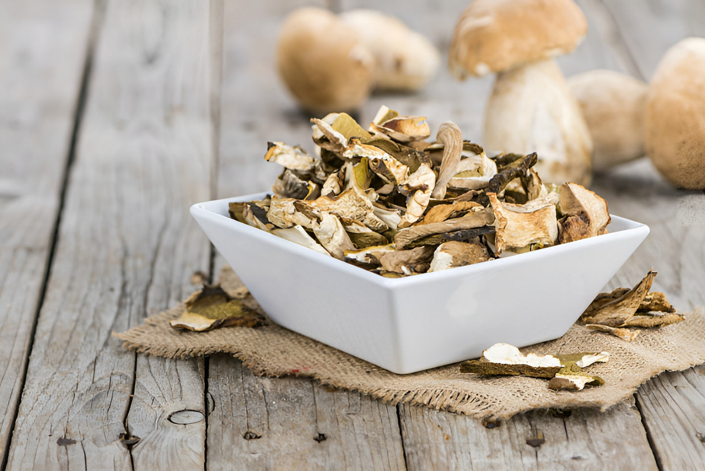 Antichi Sapori Umbri Dry Porcini Mushrooms 40g