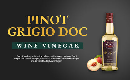 Ponti Vinegar from Pinot Grigio DOC Wine 16.9 FL oz