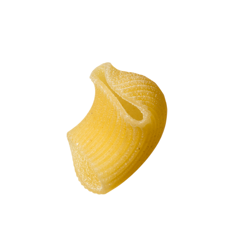 Monograno Felicetti Chiocciole Kamut